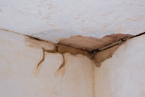 Best Emergency water damage restoration  in Ames, TX