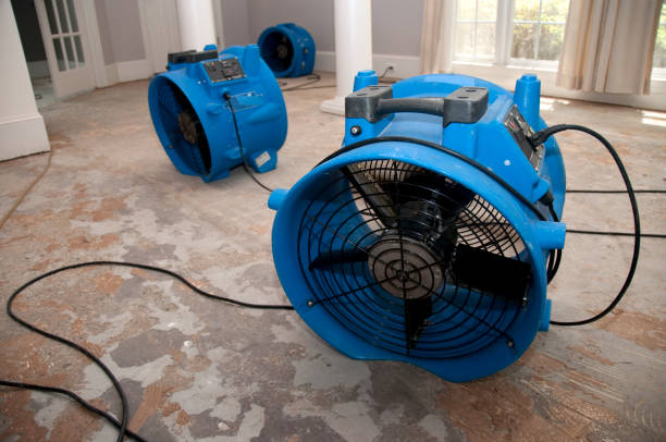 Best Water damage contractors near me  in Ames, TX