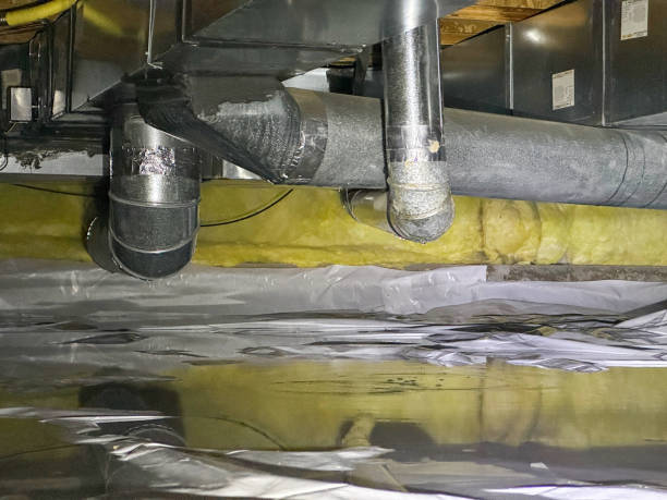 Best Water damage cleanup near me  in Ames, TX