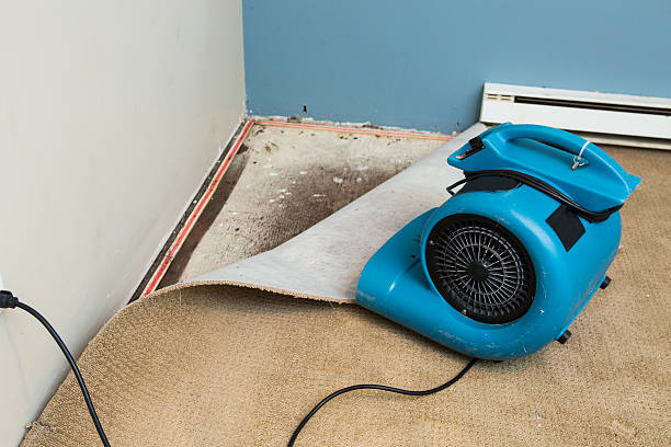 Best Water damage restoration near me  in Ames, TX